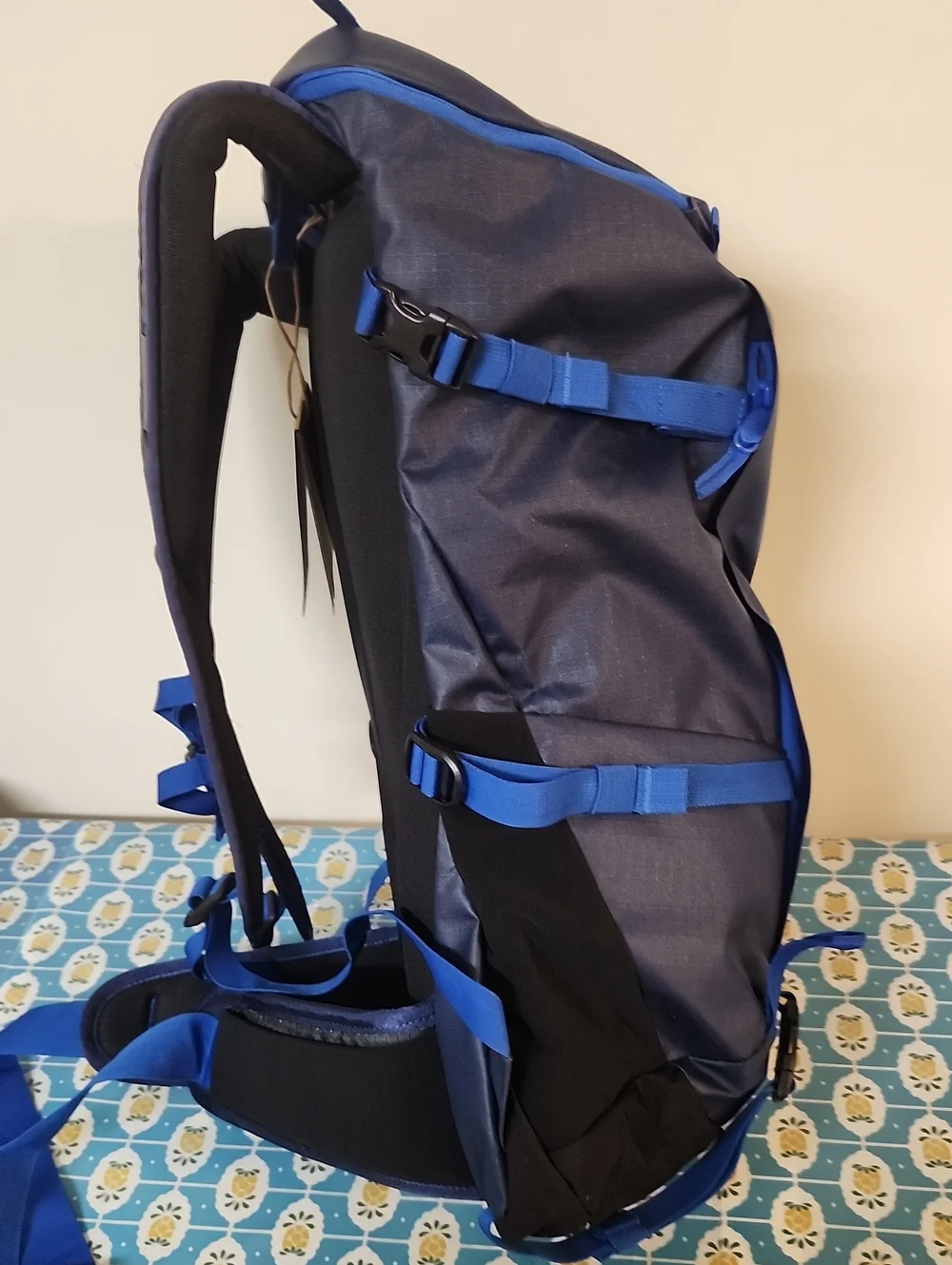 Burton Skyward 25L Backpack Tacital Campinig Hike NWT NEW